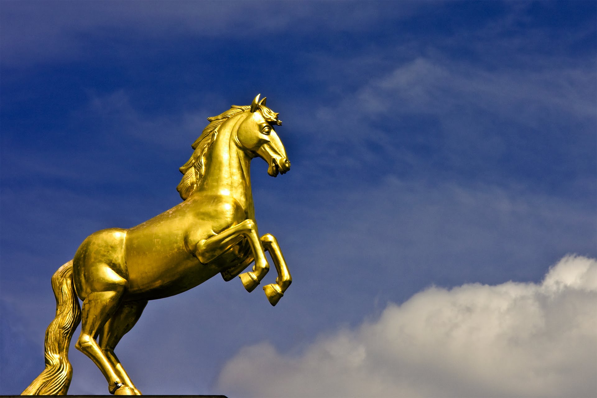 Золотой конь митридата. Золотые кони хана Батыя. Золотой конь царя Митридата. Золотой конь Анапа царя Митридата. Золотой конь Чингисхана.